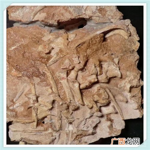 美颜坊加盟费多少 美肌工坊