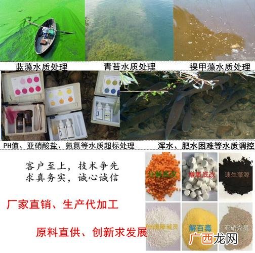 果汁阳台怎么扦插 果汁能当水产养殖的有机酸吗