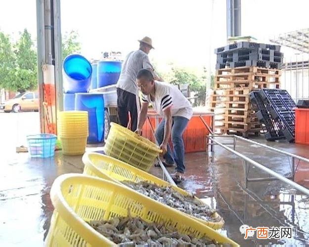 中山市水产养殖基地在哪里 广东佛山养什么水产