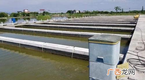 中山市水产养殖基地在哪里 广东佛山养什么水产