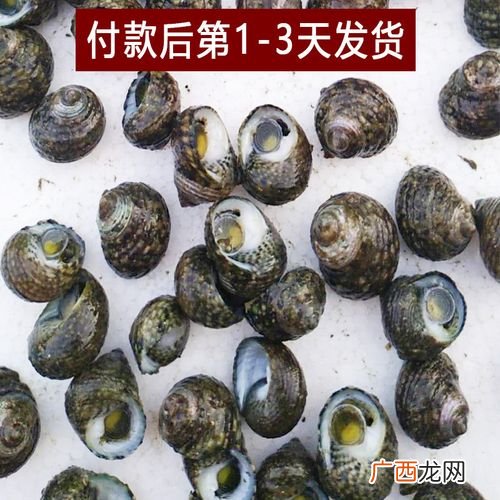今日鱼价全国一览表 全国海水产批发行情价格