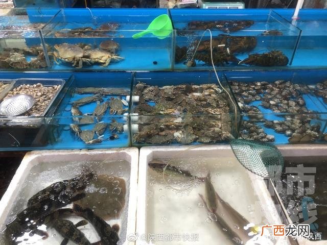 今日鱼价全国一览表 全国海水产批发行情价格