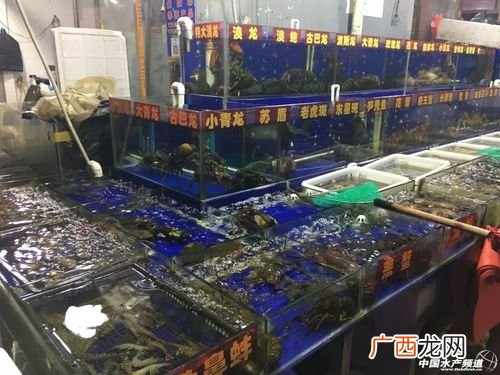 白藤头水产批发市场 各地水产批发市场