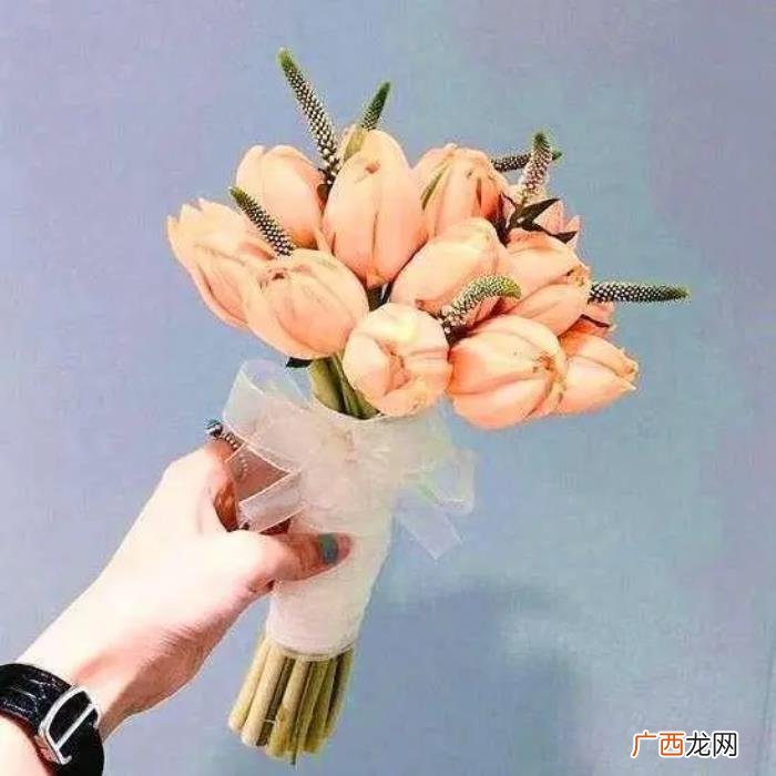 简短独特的生日祝福语 好朋友生日祝福语