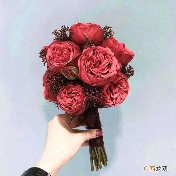 简短独特的生日祝福语 好朋友生日祝福语