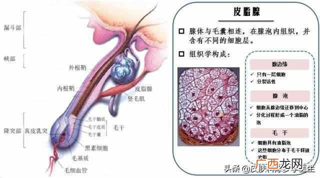 上海治疗青春痘医院排名，上海治疗青春痘医院
