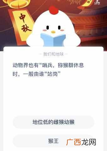 猕猴群休息时一般由谁站岗？蚂蚁庄园课堂9月30日答案