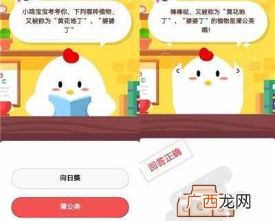 蚂蚁庄园2020年10月15日今日答案最新 蚂蚁庄园10.15答题答案汇总