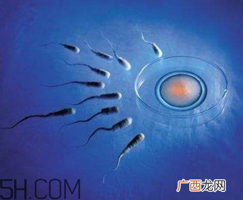 弱精症能做试管婴儿吗？弱精症可以人工受精吗？