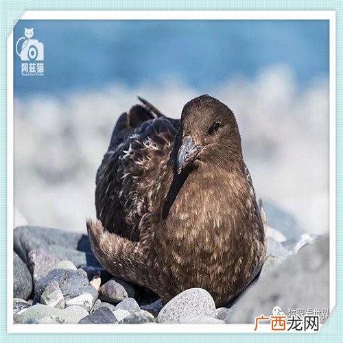 什么牌子的空调质量好价格低 什么空调省电又便宜又好使