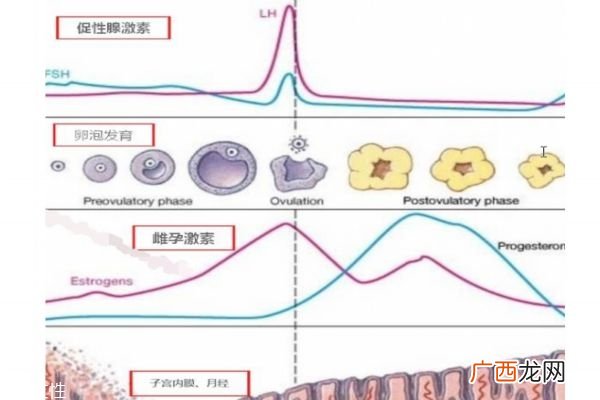 高龄如何备孕这几点一定要注意