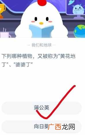 蚂蚁庄园10月15日庄园小课堂答案 哪种植物又被称为黄花地丁婆婆丁