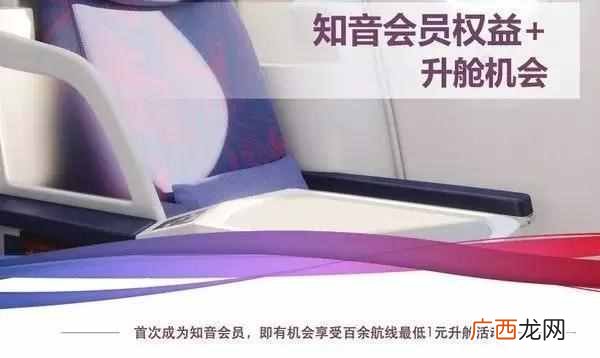 信天游机票查询系统，信天游怎么打印机票