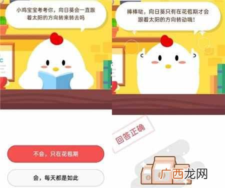 向日葵会一直跟着太阳的方向转来转去吗？蚂蚁庄园10月21日答案分享