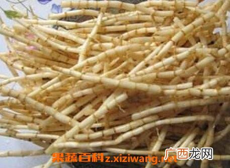 中药白茅根的作用与功效