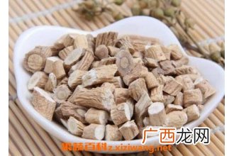 中药板蓝根的作用是什么 板蓝根的药用价值
