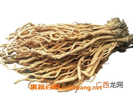 中药板蓝根的功效与作用及禁忌症