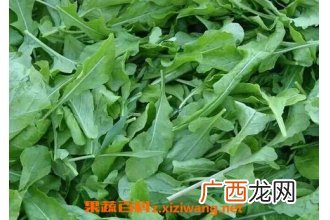 子麻叶的功效与作用 子麻叶的保健功效