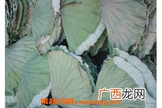 中医干荷叶的功效与作用 干荷叶的药用价值