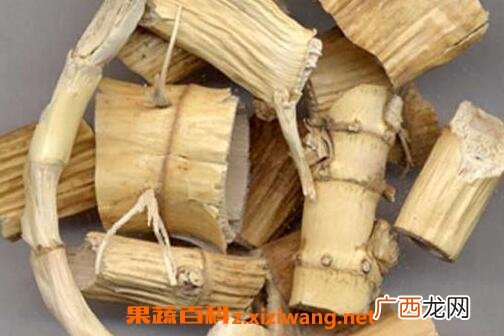 竹茹芦根的功效与作用及禁忌