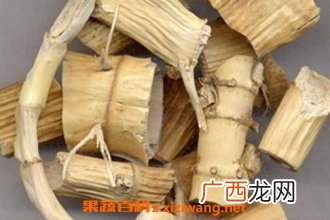 竹茹芦根的功效与作用及禁忌
