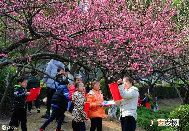 家庭郊游活动方案，制定一个春游方案