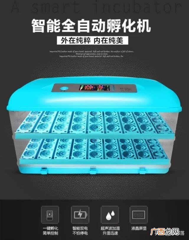 创业项目开发,创业致富找项目
