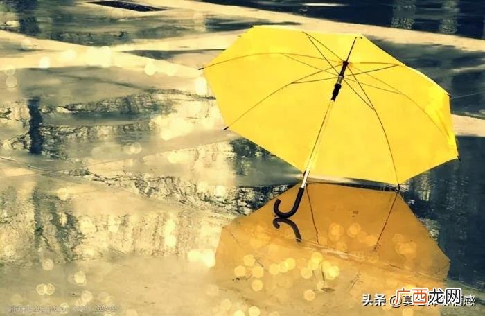 异地婚姻老公出轨怎么挽回 老公出轨小三在异地怎么办