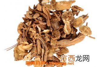 中药吊鞭勒根的功效和药用价值