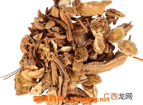 中药吊鞭勒根的功效和药用价值
