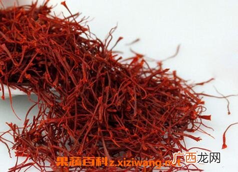 藏红花的功效作用与吃法