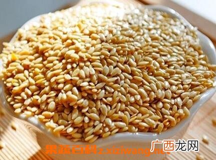 有机黄金亚麻籽的功效与作用