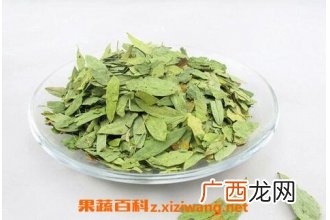 中药泻叶的功效与作用 泻叶的药用价值