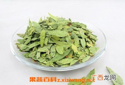 中药泻叶的功效与作用 泻叶的药用价值