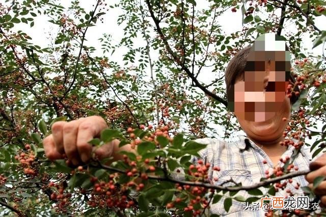 5千元以下投资小项目,有什么小投资可以创业