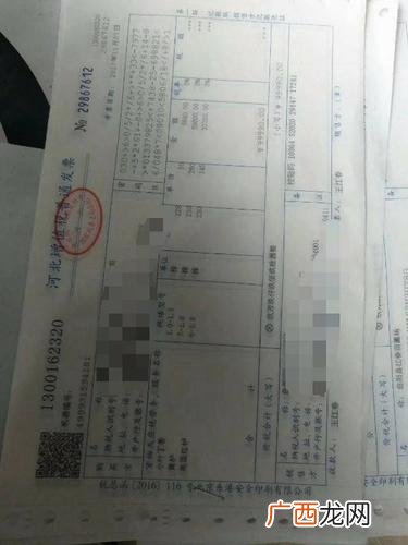 苗木通 园林苗圃那种苗木价格出销售好