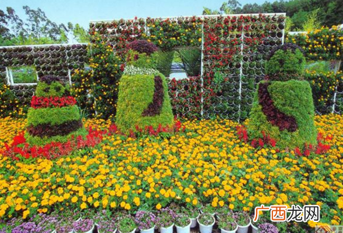 风景园林景观 景观园林师培训