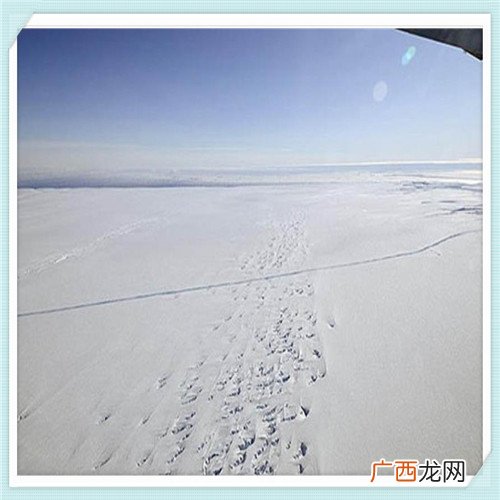 十大除螨仪品牌 除螨吸尘器哪个牌子的比较好