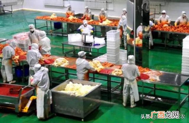 2020厂房加工什么赚钱 2020年找长期合作加工厂