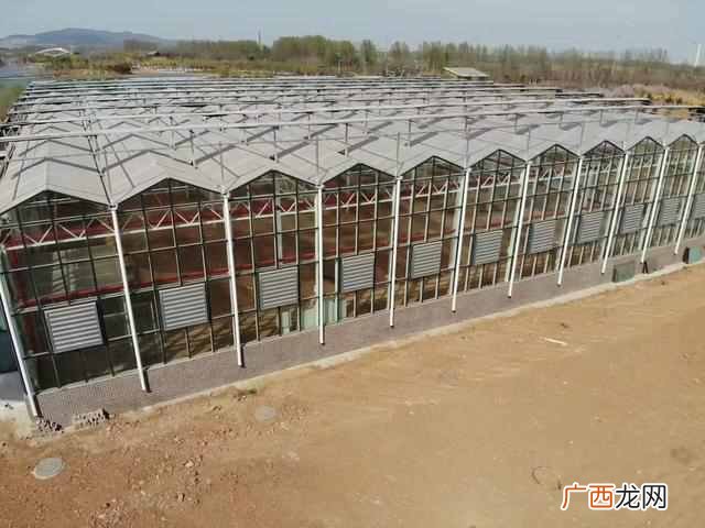 温室工程建设厂家哪家专业,建筑幕墙工程有限