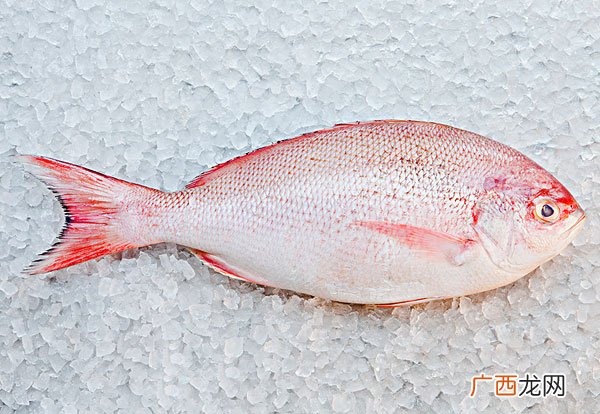 孕妇吃什么鱼好补充鱼油注意事项