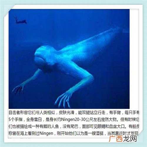 复合益生元多少钱一盒 益钱