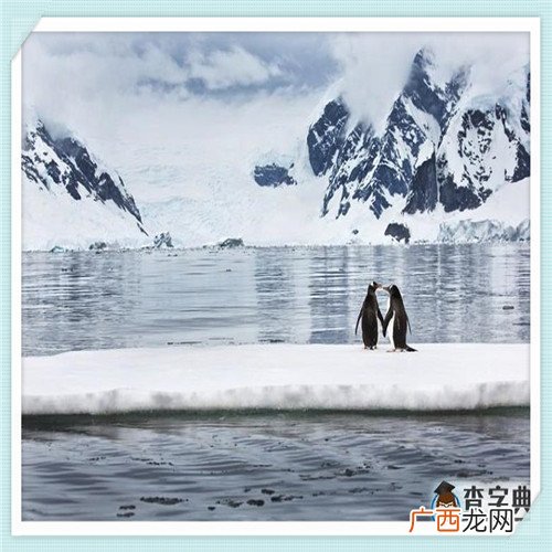 华为荣耀50pro好不好 荣耀50流畅度怎么样