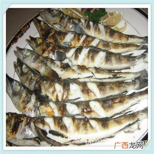 蔻驰最经典的包包图片 蔻驰包都是什么皮