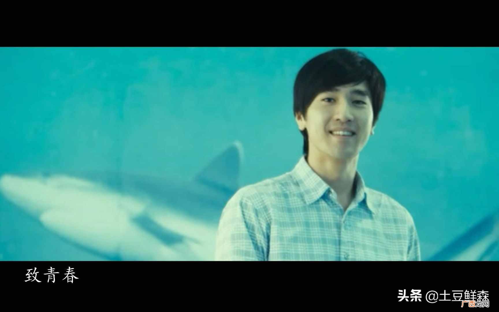 解说电影致青春结局深意 致青春结局什么意思