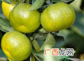 孕妇吃桔子好吗？孕妇吃桔子有什么好处？