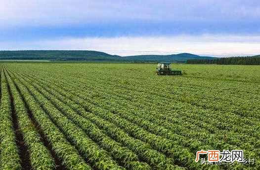 浅谈中国大豆之乡 大豆生产基地在哪里