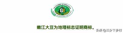浅谈中国大豆之乡 大豆生产基地在哪里