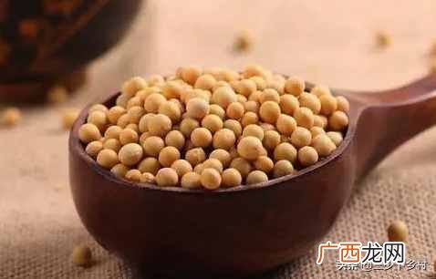 浅谈中国大豆之乡 大豆生产基地在哪里