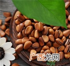 孕妇可以吃松子吗?孕妇吃松子有什么好处?